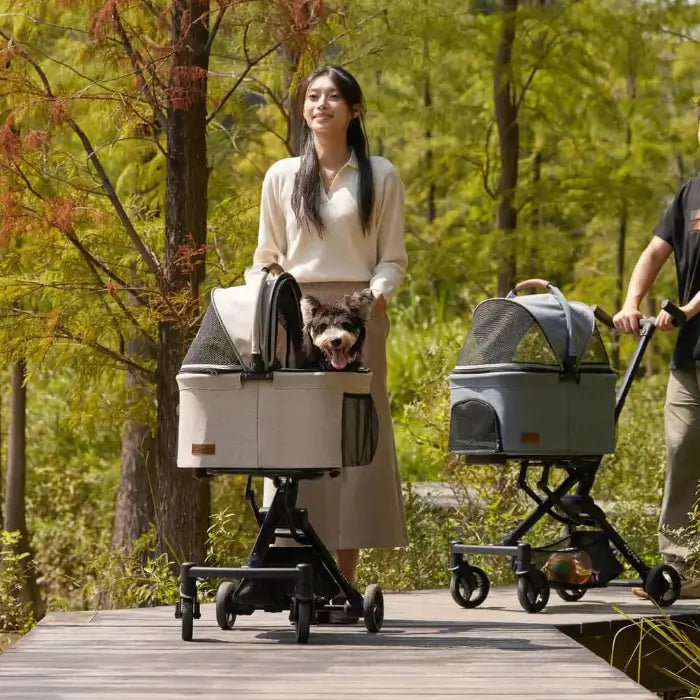 PETTENA小型犬用軽量コンパクトペットカートPETITEでシュナウザーと公園で散歩する