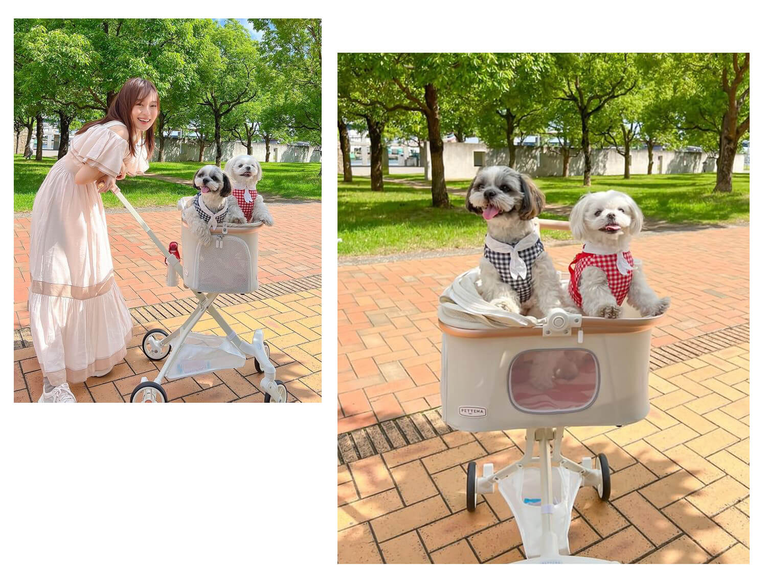 PETTENA 軽量ペットカートELFで2匹の小型犬と公園で遊ぶ写真