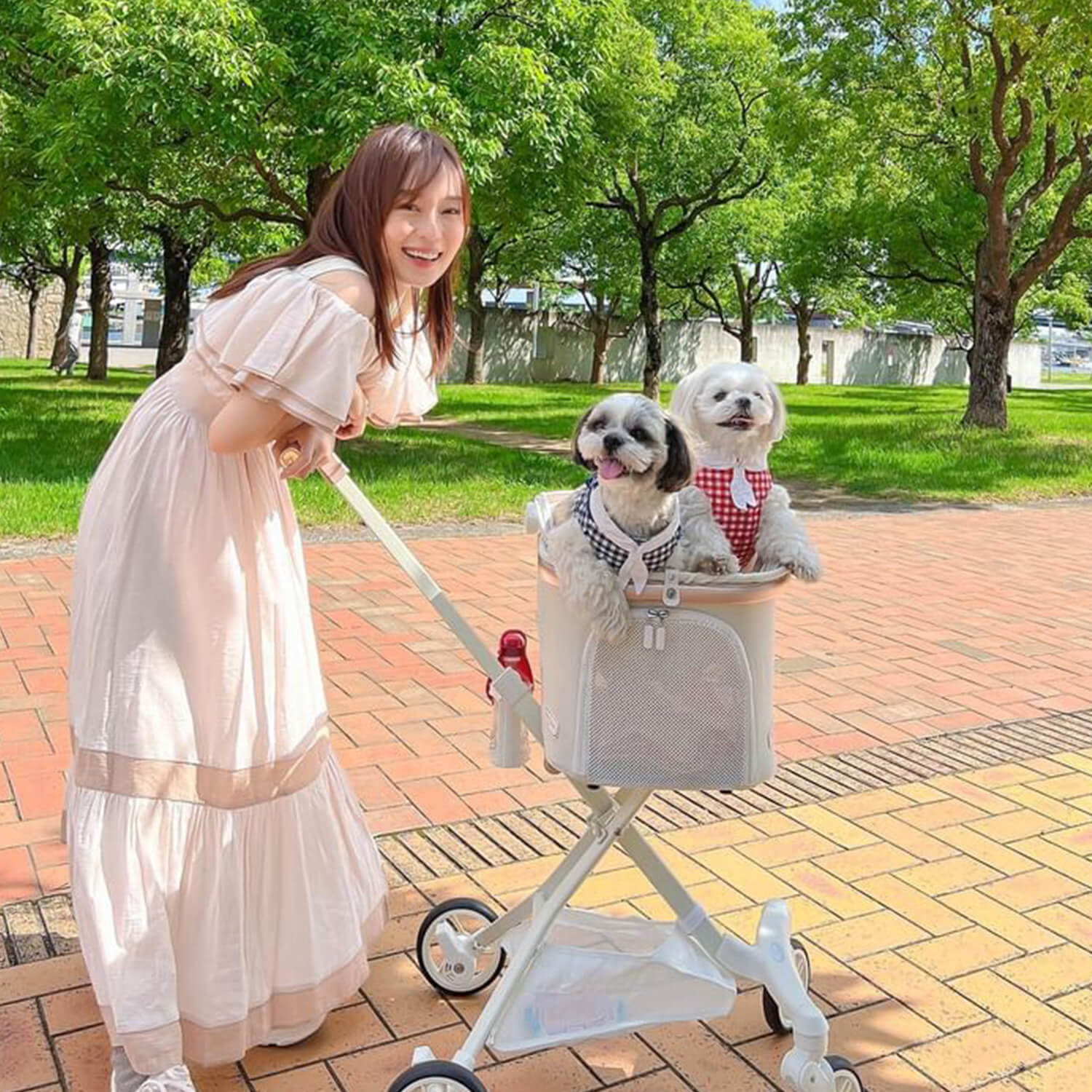 多頭飼い用犬バギー