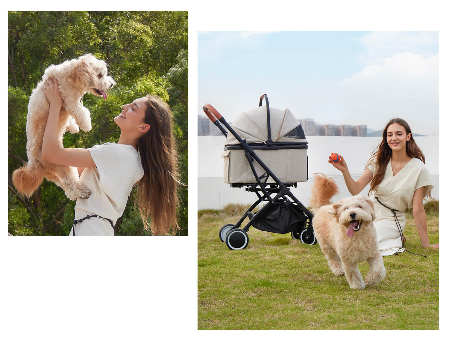 PETTENA 分離型ペットカートKNIGHTで犬と芝生公園で遊ぶ写真