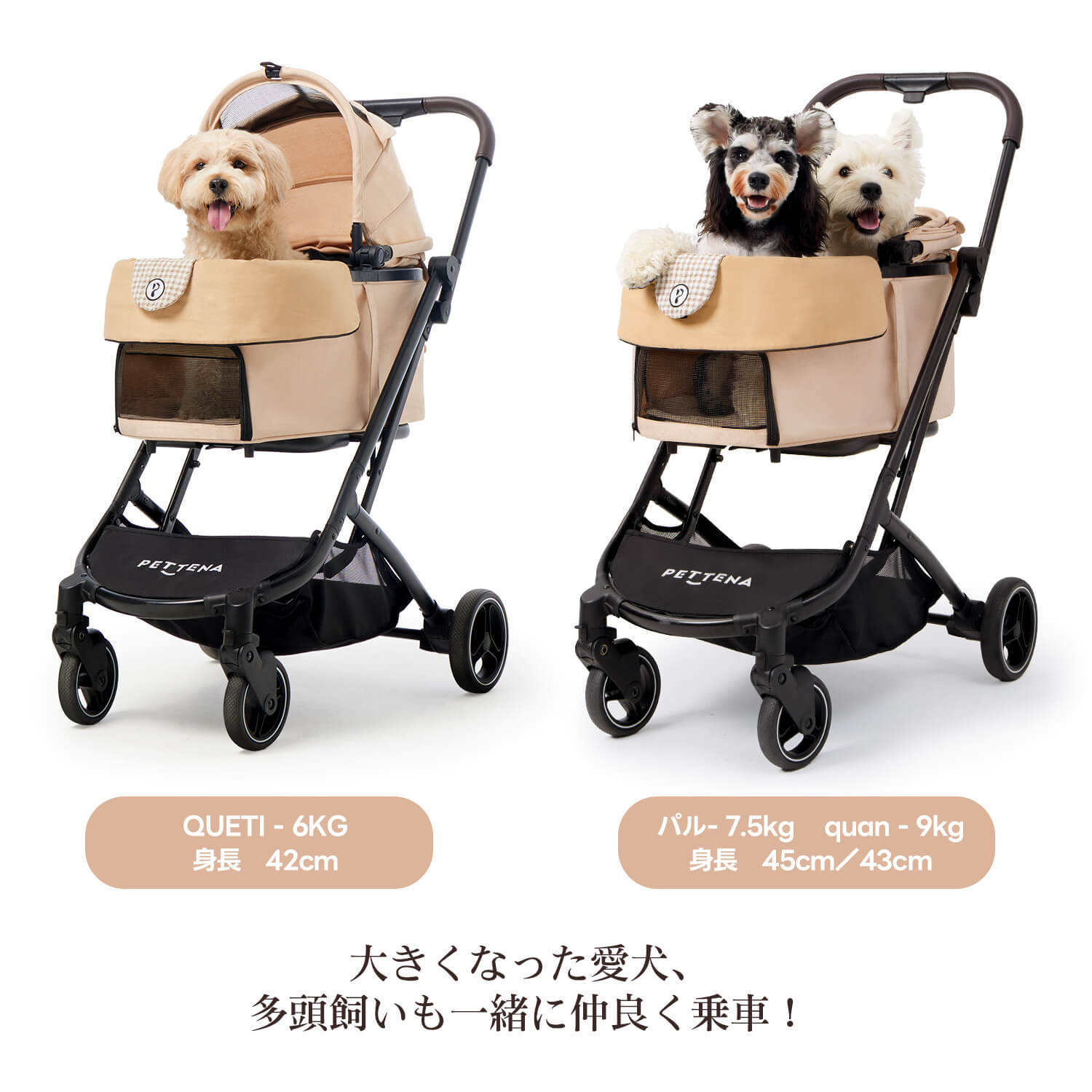 PETTENA 折りたたみ式分離型あごのせクッション付きペットカートORIONに2匹の犬を乗せる写真