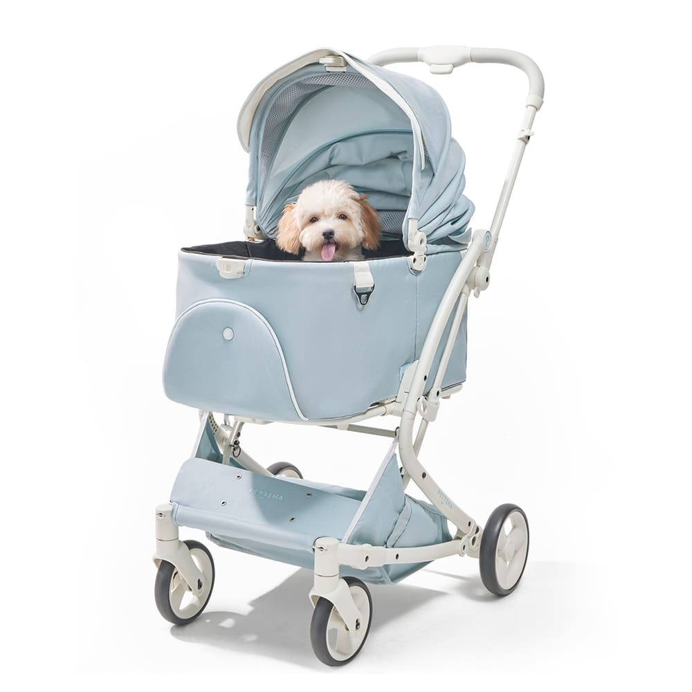 【SNS限定】PETTENA MILOU-最上級型番 新色登場 澄空ブルー