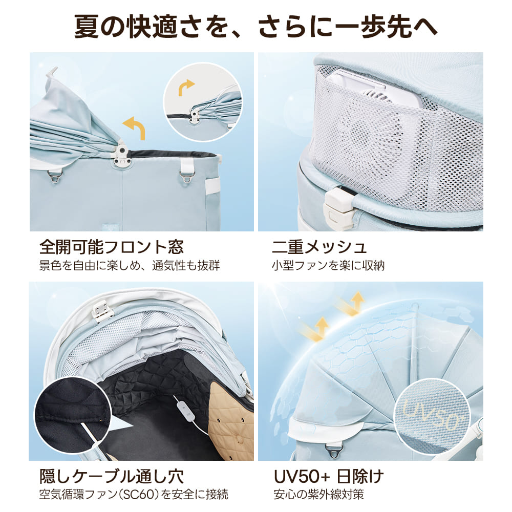 【SNS限定】PETTENA MILOU-最上級型番 新色登場 澄空ブルー