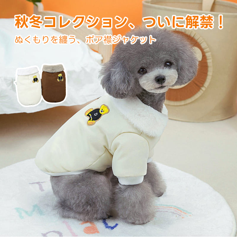 アイボリーのボア襟ジャケットを着用したトイプードルの姿。クマの刺繍がアクセントになり、寒い日のお出かけを暖かく楽しく演出する、秋冬コレクションの注目アイテム。