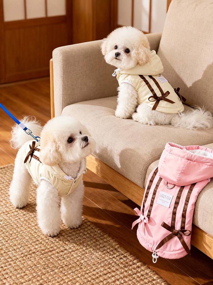 リビングのソファとラグでくつろぐ、お揃いのクリーム色ウェアを着た2匹のビションフリーゼ。手前にはピンク色の洋服も置かれた集合写真。