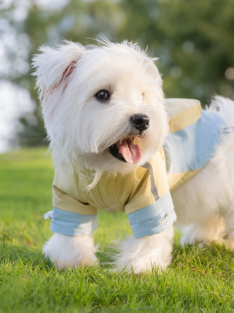 犬用アウトドアジャケットの着用サイドビュー。動きやすさを追求したシルエットで、寒い日のお出かけも快適にするデザイン。