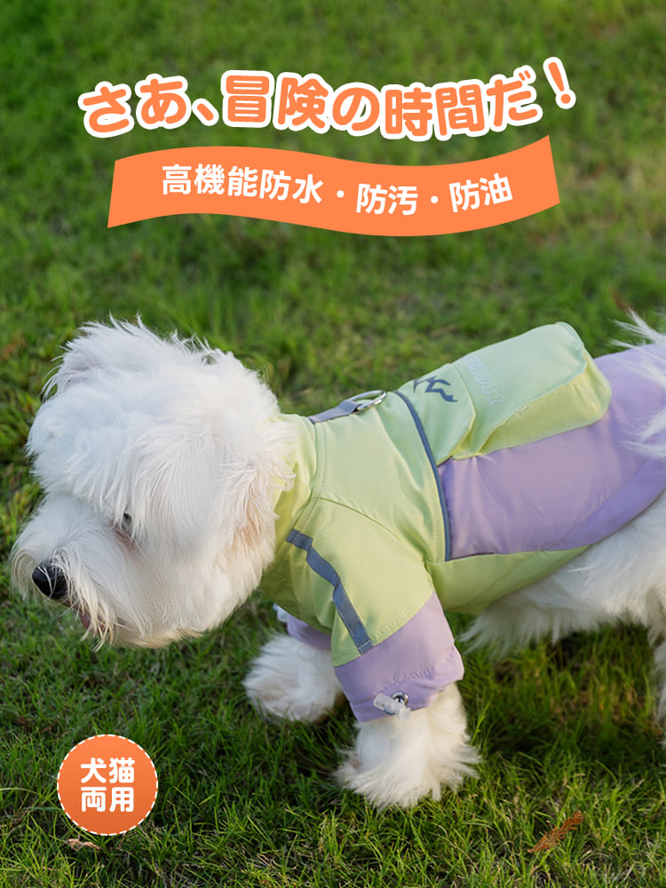 雨上がりや泥遊びも安心な高機能防水ウェアを着て快適に散歩する犬。犬猫両用のアドベンチャー仕様。