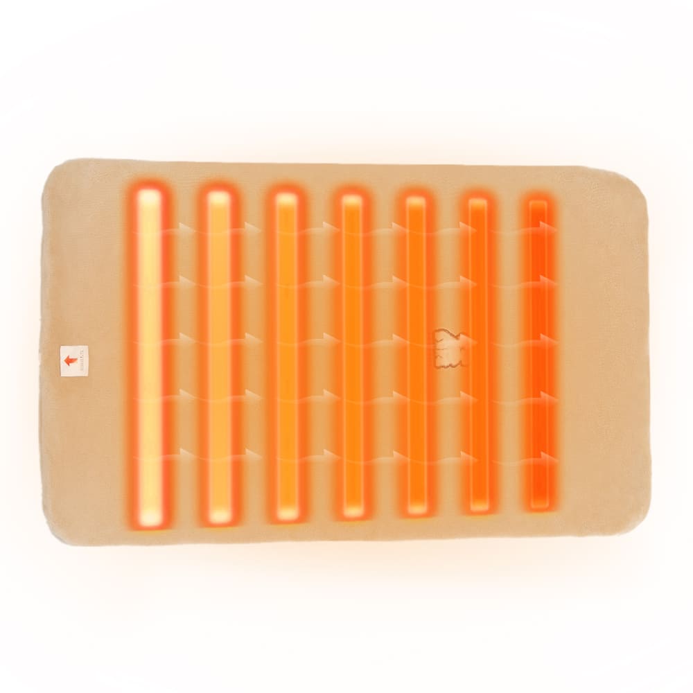 グラフェン技術により、マットの端まで隙間なく配置された発熱体が均一な温度を提供し、愛犬を冬の厳しい底冷えから守る様子を可視化した画像です。