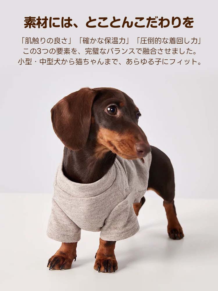 PETTENAウォームTシャツのグレー着用イメージ。保温性と耐久性に優れたこだわりの素材がダックスフンドの体に優しくフィットする、秋冬に最適なペットウェア。