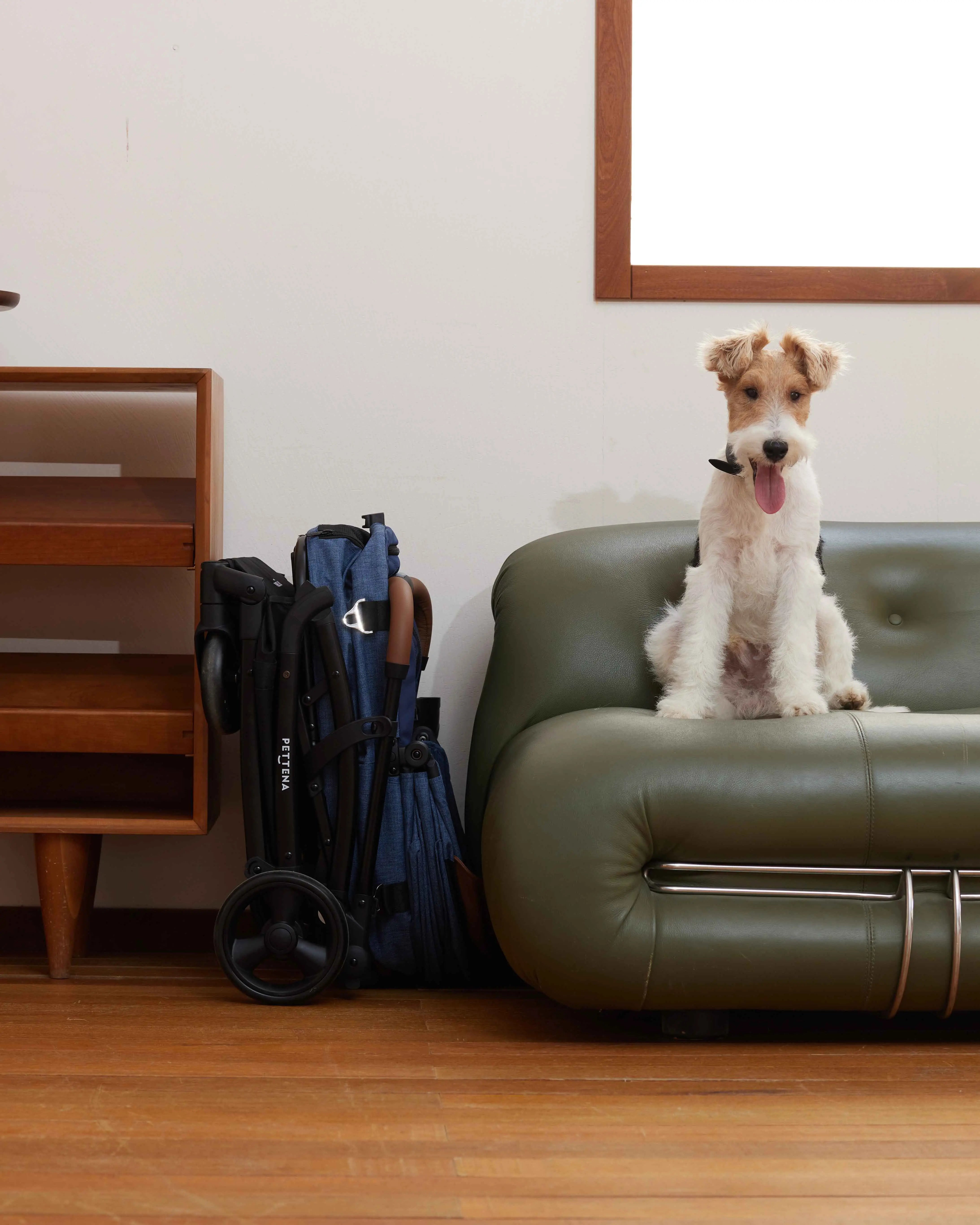 ぺテナに関するよくある質問