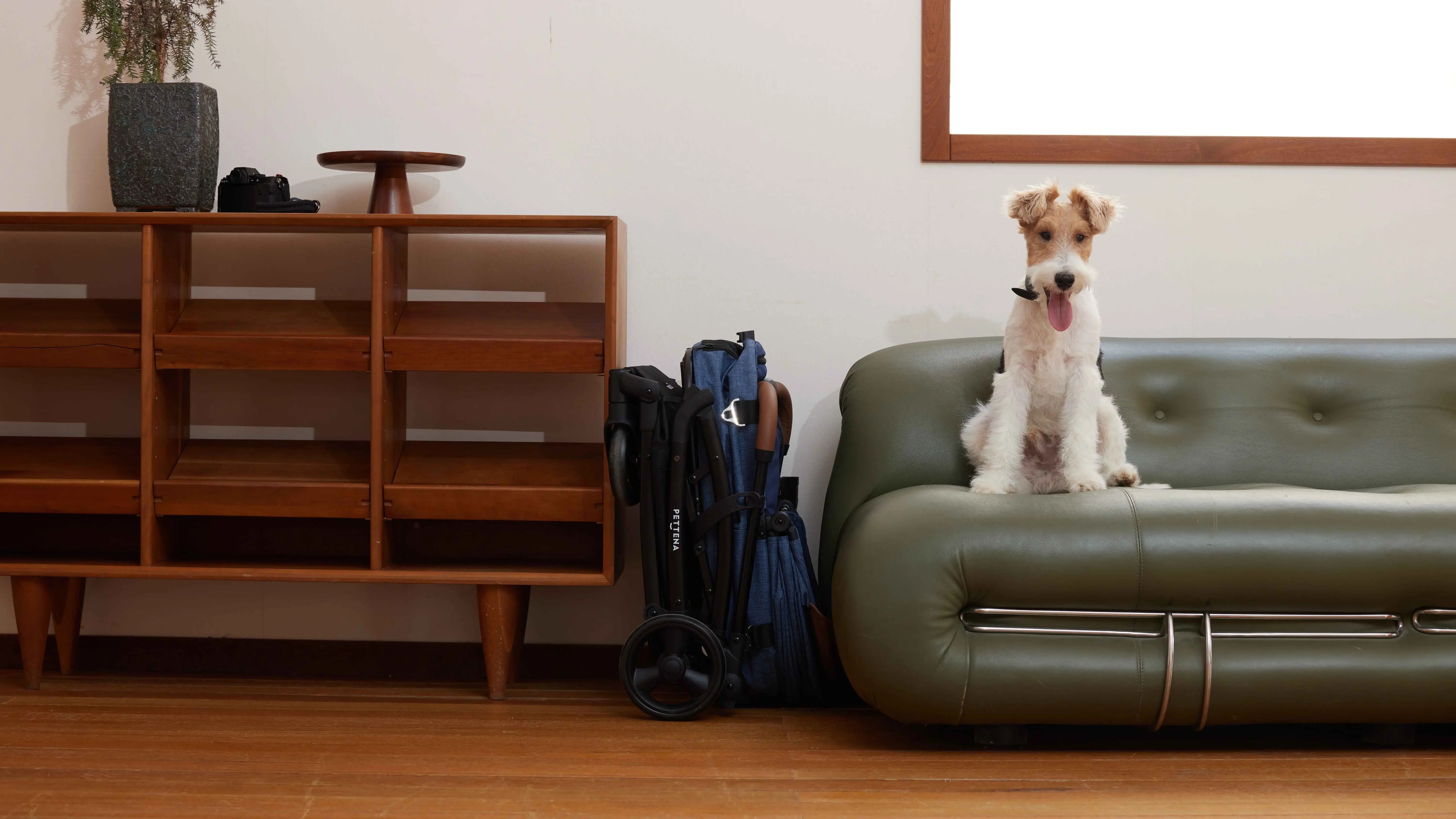 PETTENAに関するよくある質問