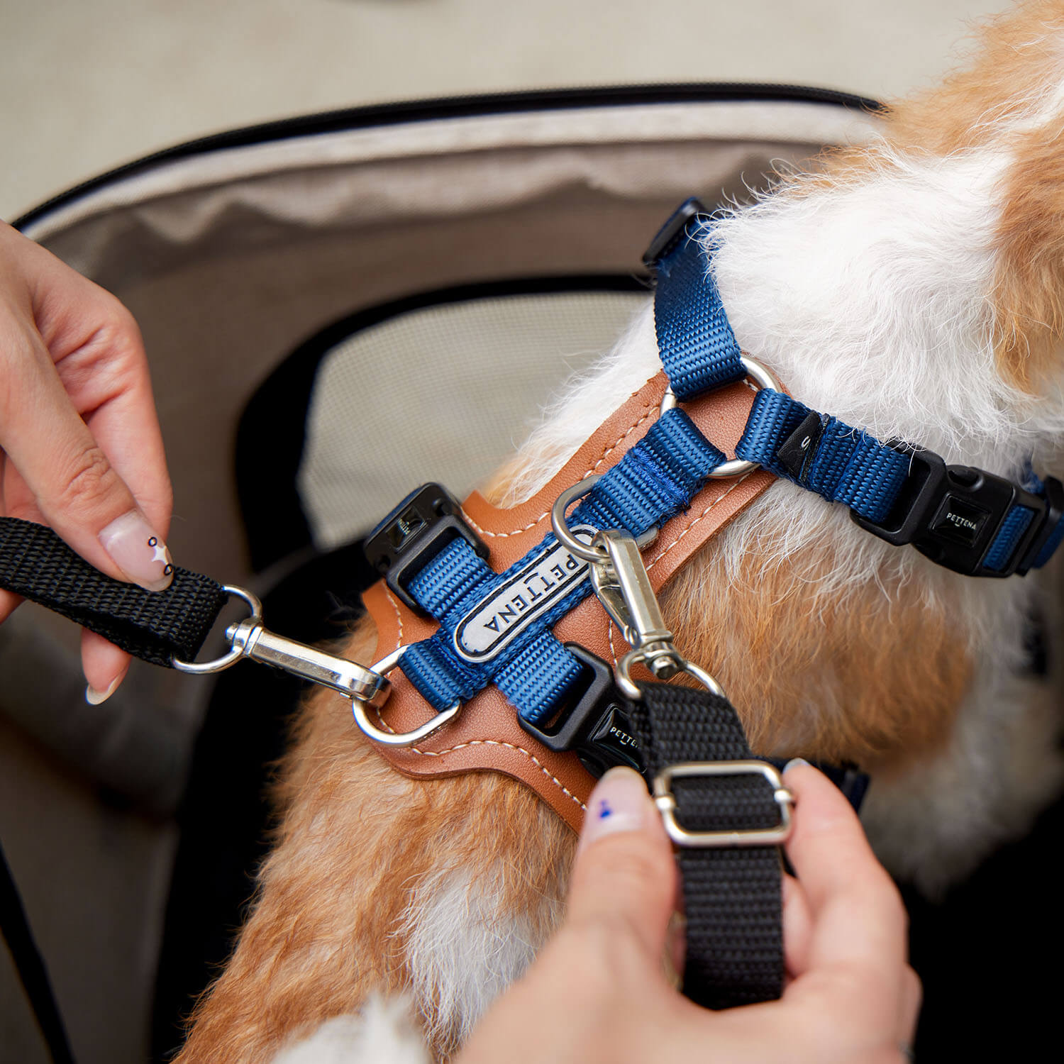 PETTENA小型犬用軽量コンパクトペットカートPETITEの飛び出し防止フックの写真