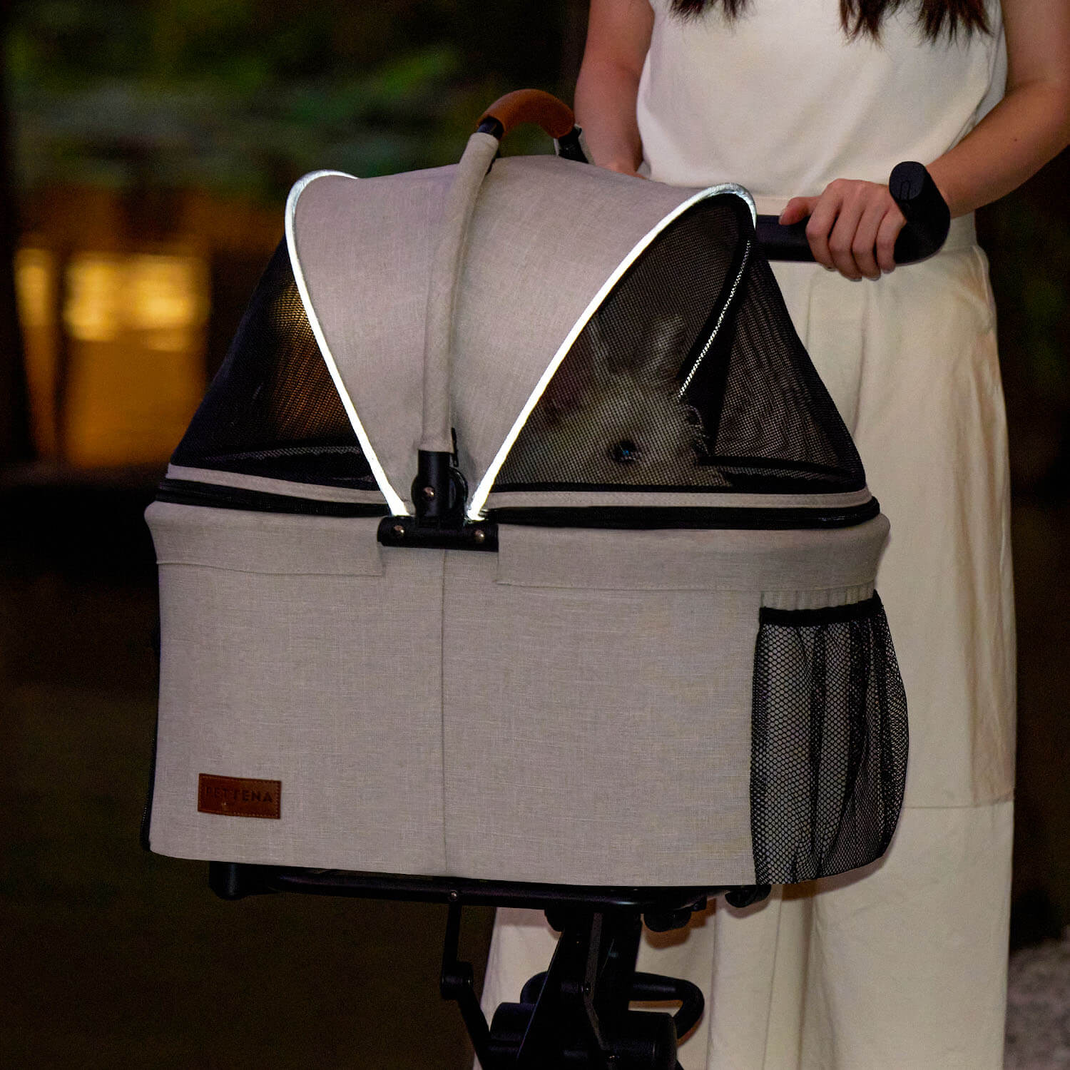 夜にPETTENA小型犬用軽量コンパクトペットカートPETITEで犬と出かける写真