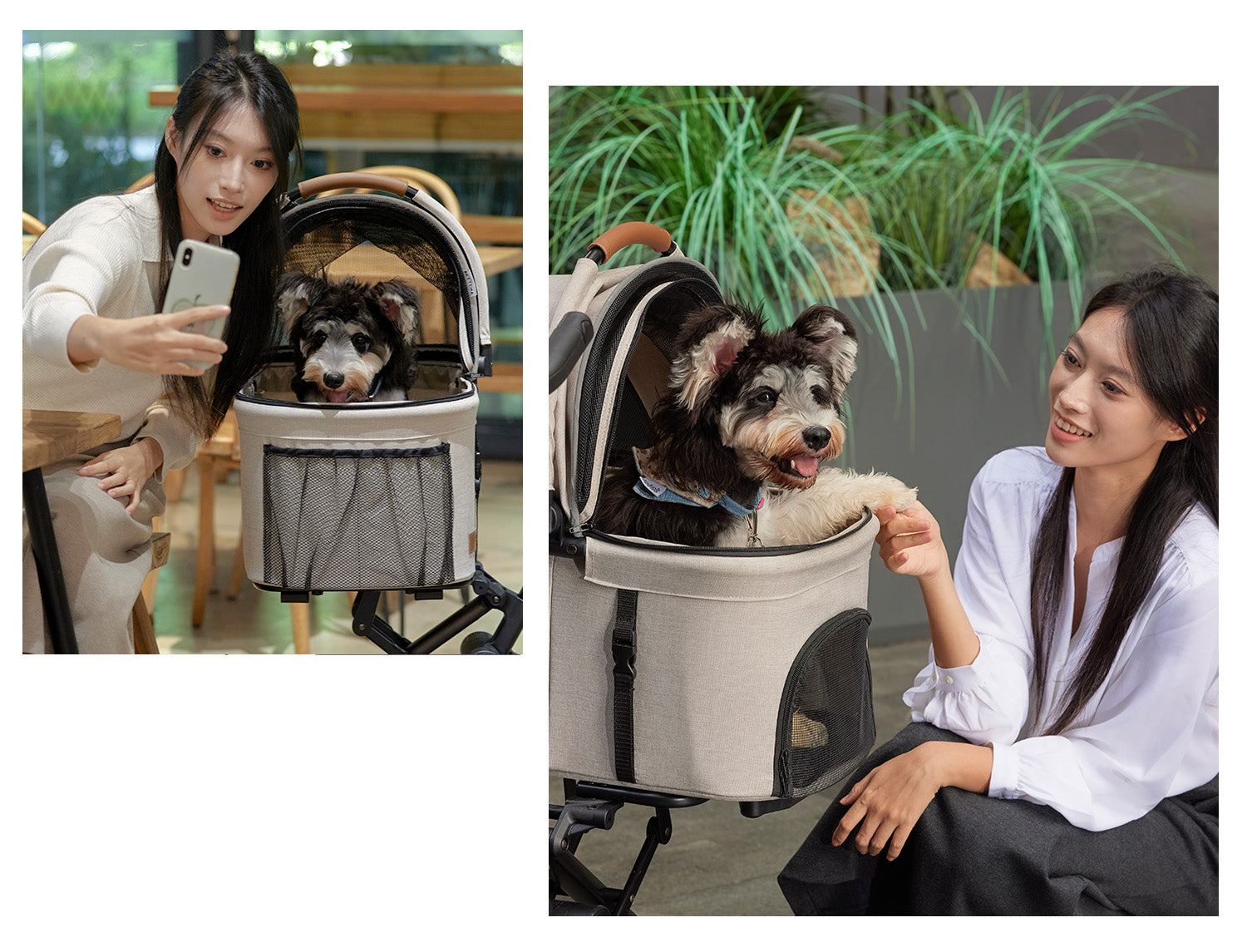 PETTENA小型犬用軽量コンパクトペットカートPETITEで犬をカフェに連れて写真を撮る様子