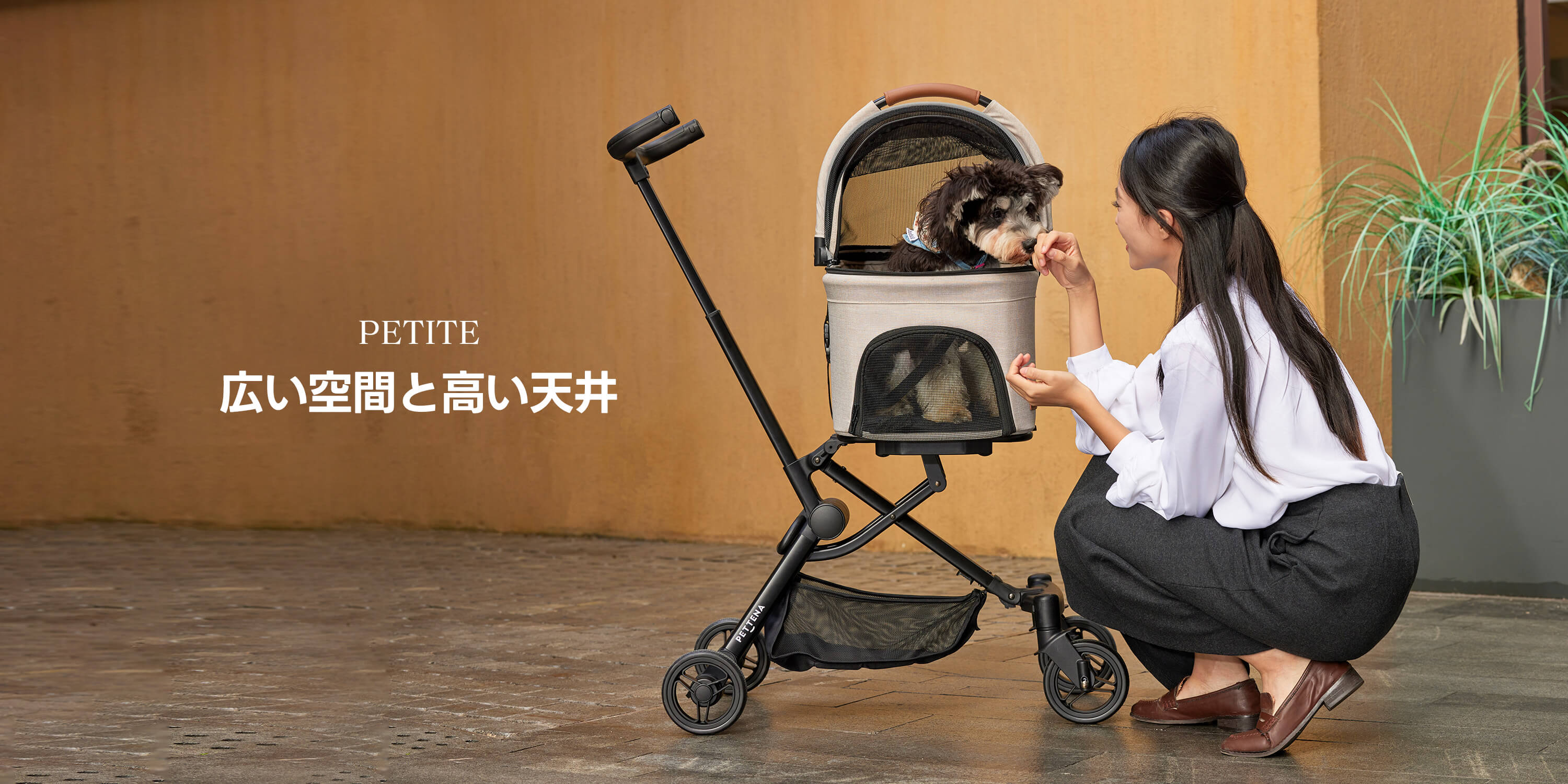 PETTENA小型犬用軽量コンパクトペットカートPETITEでのシュナウザー犬が甘えてくる様子