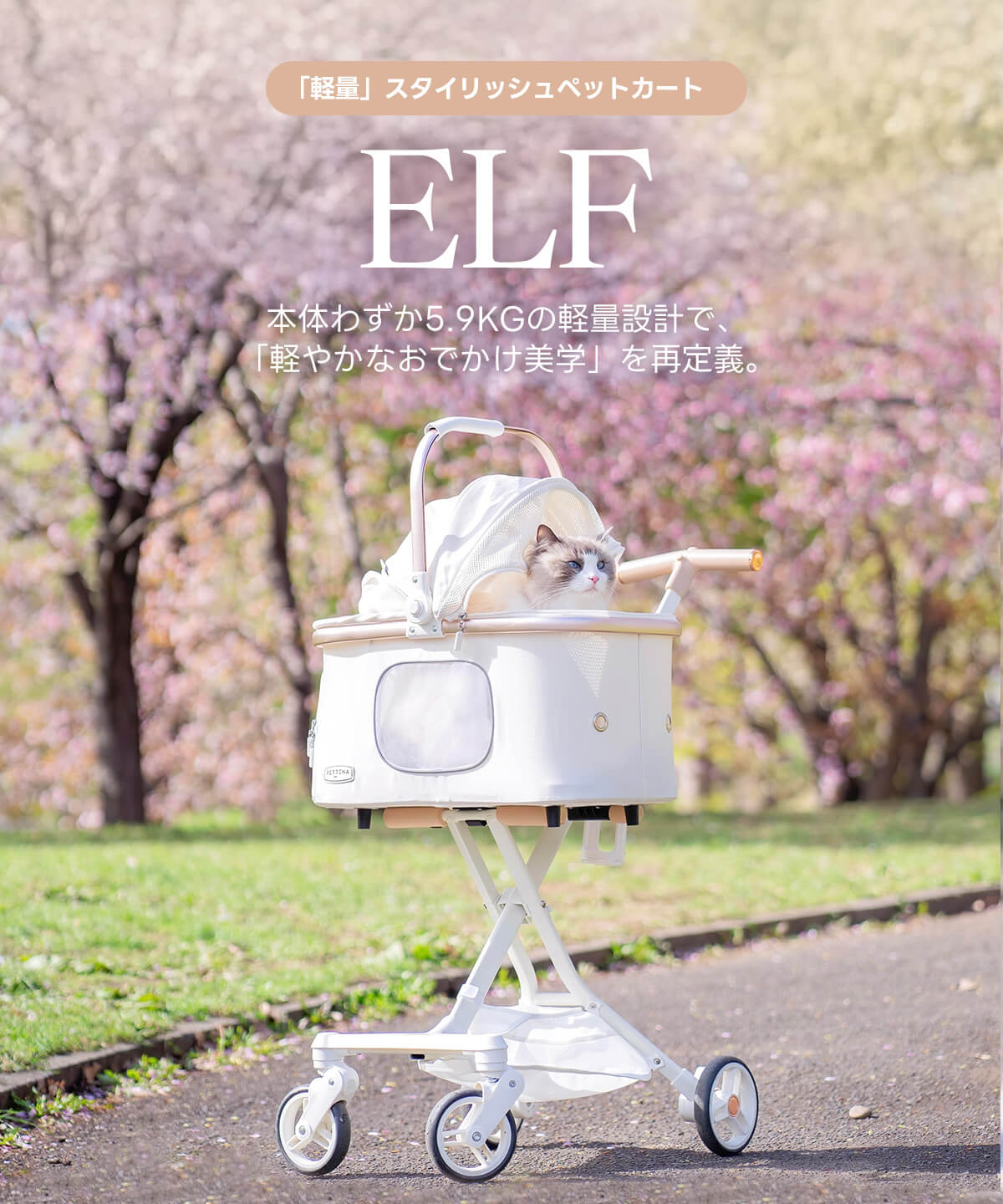 PETTENA 軽量ペットカートELFで猫を乗せて花見に行く写真