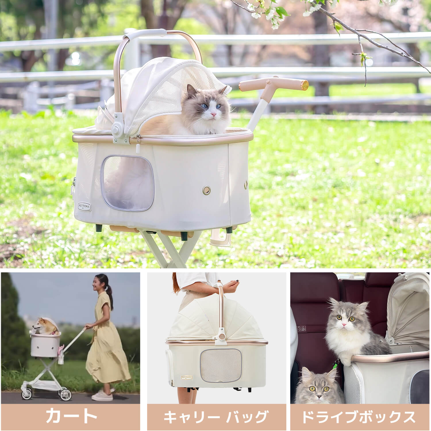 PETTENA 軽量ペットカートELFで猫を乗せて散歩する写真
