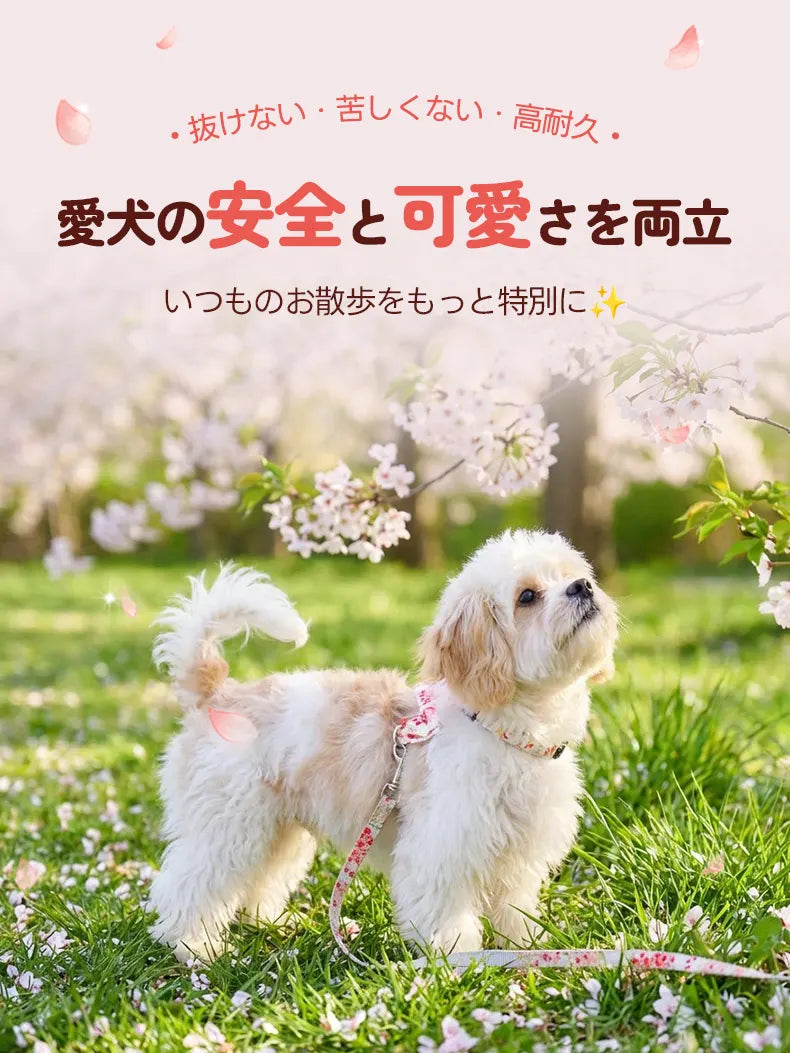PETTENA ペット用 ハーネス リード セット 桜模様