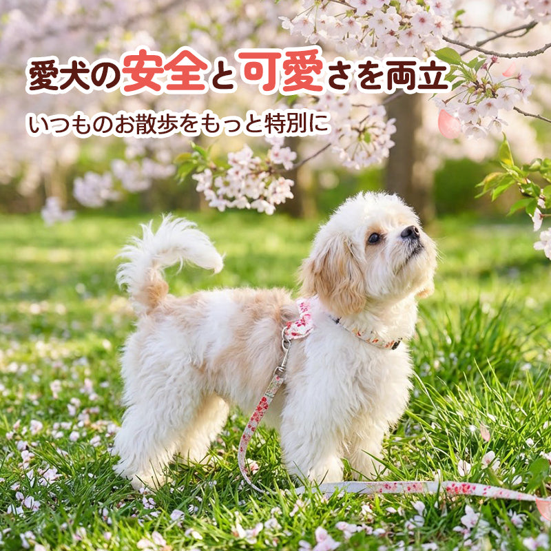 桜模様 ペット用 ハーネス＆リードセット｜抜けない・痛くない和柄