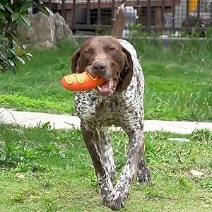 PETTENA Select 犬用サウンド付き歯磨きおもちゃ