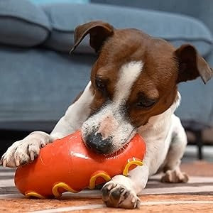 PETTENA Select 犬用サウンド付き歯磨きおもちゃ