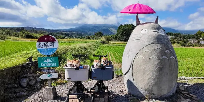 PETTENA小型犬用軽量コンパクトペットカートPETITEで豆柴と旅行に行く