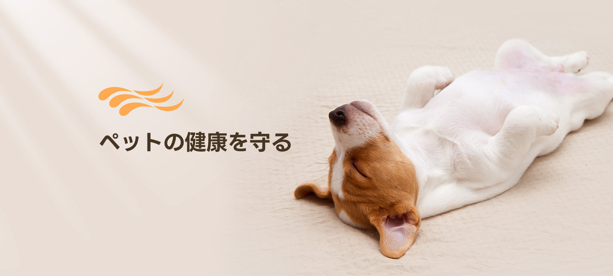 ペットの健康を守るバギー