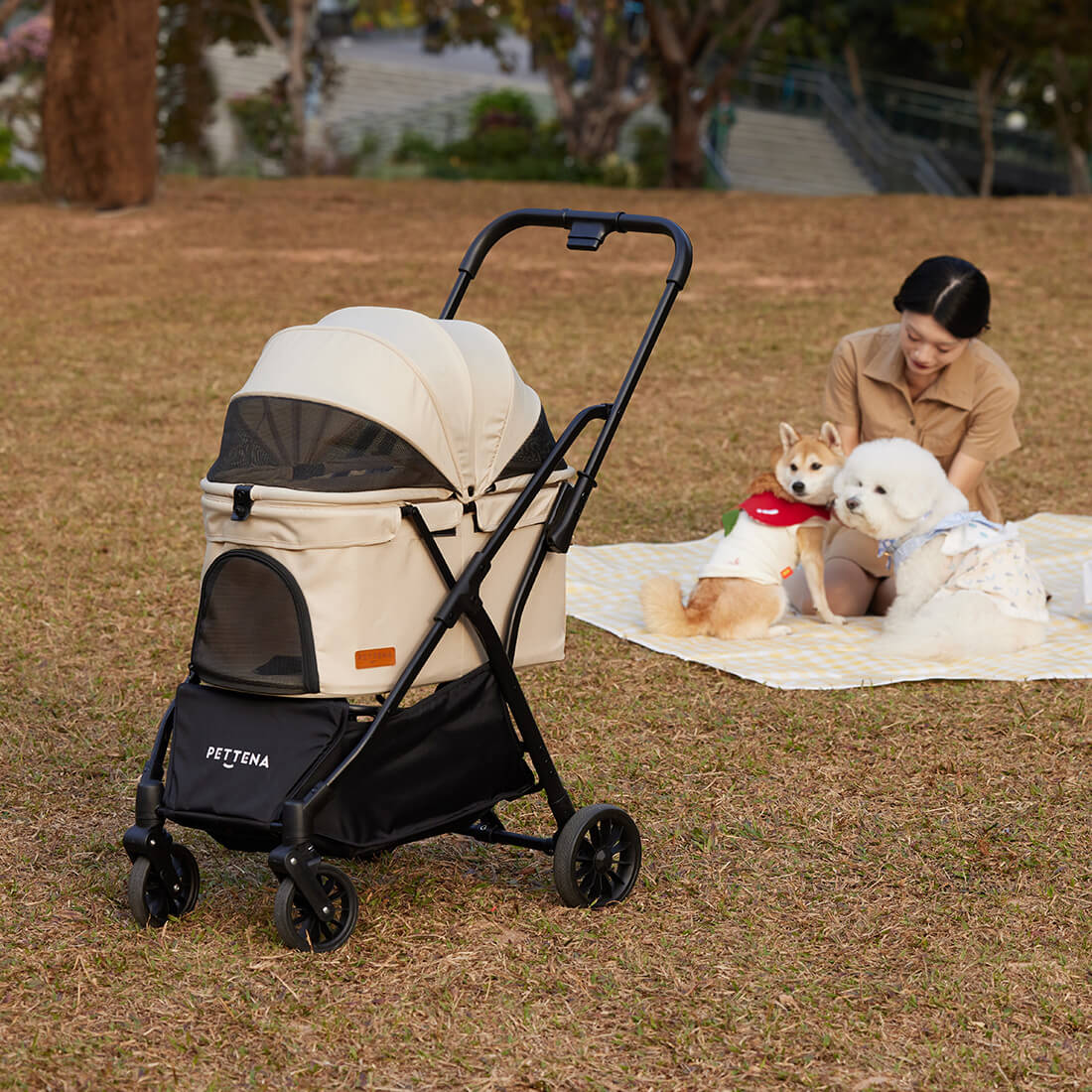 犬と公園で遊ぶ