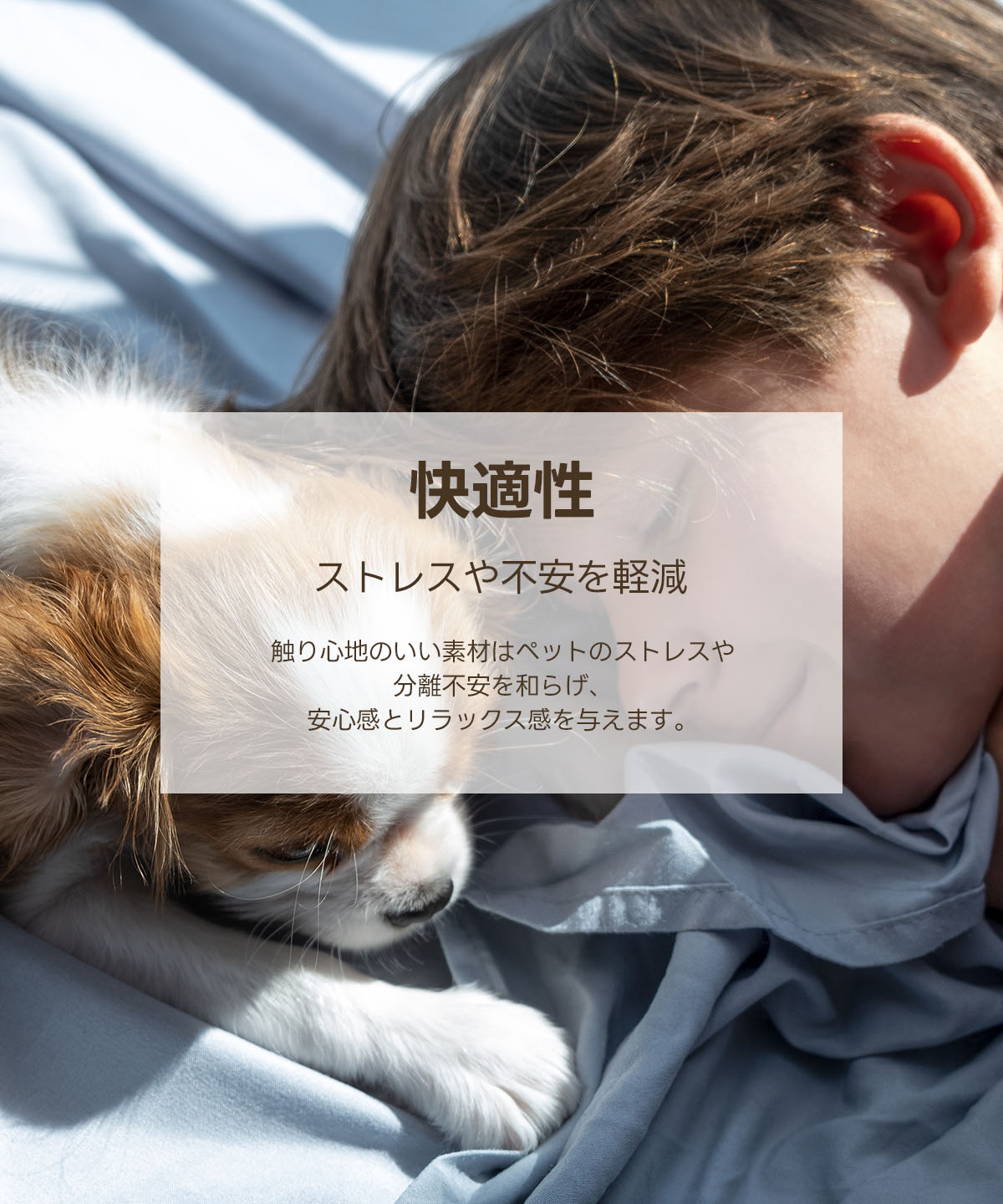 快適な犬用バギー