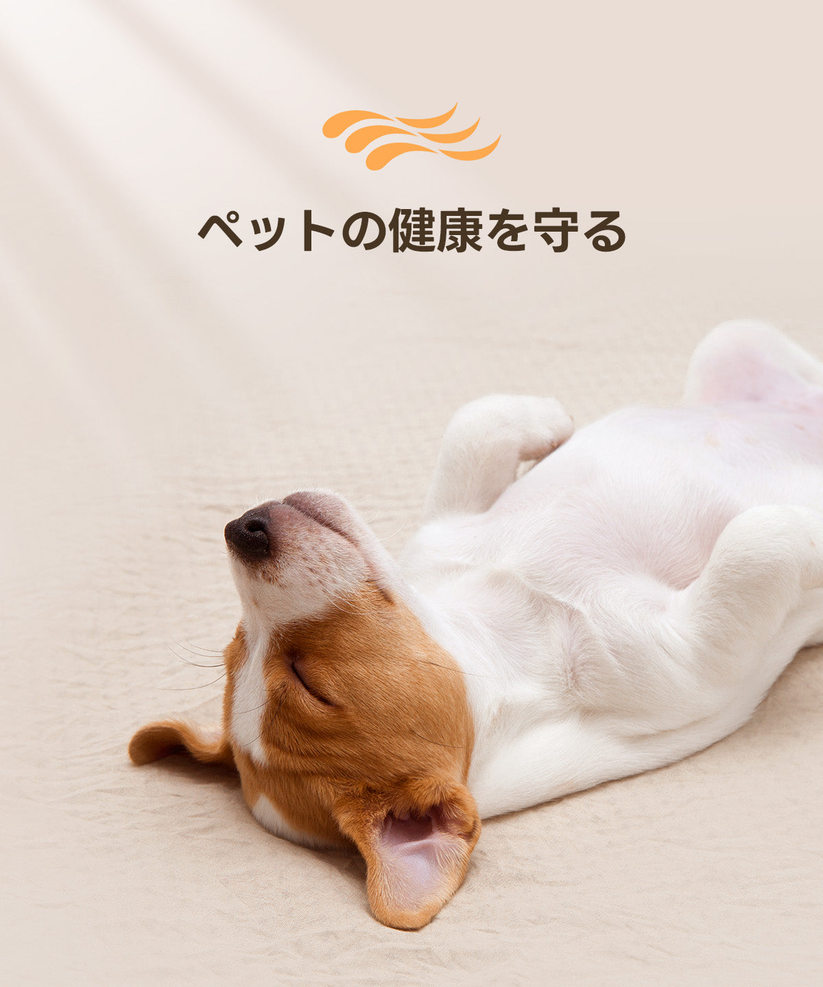 ペットの健康を守る生地