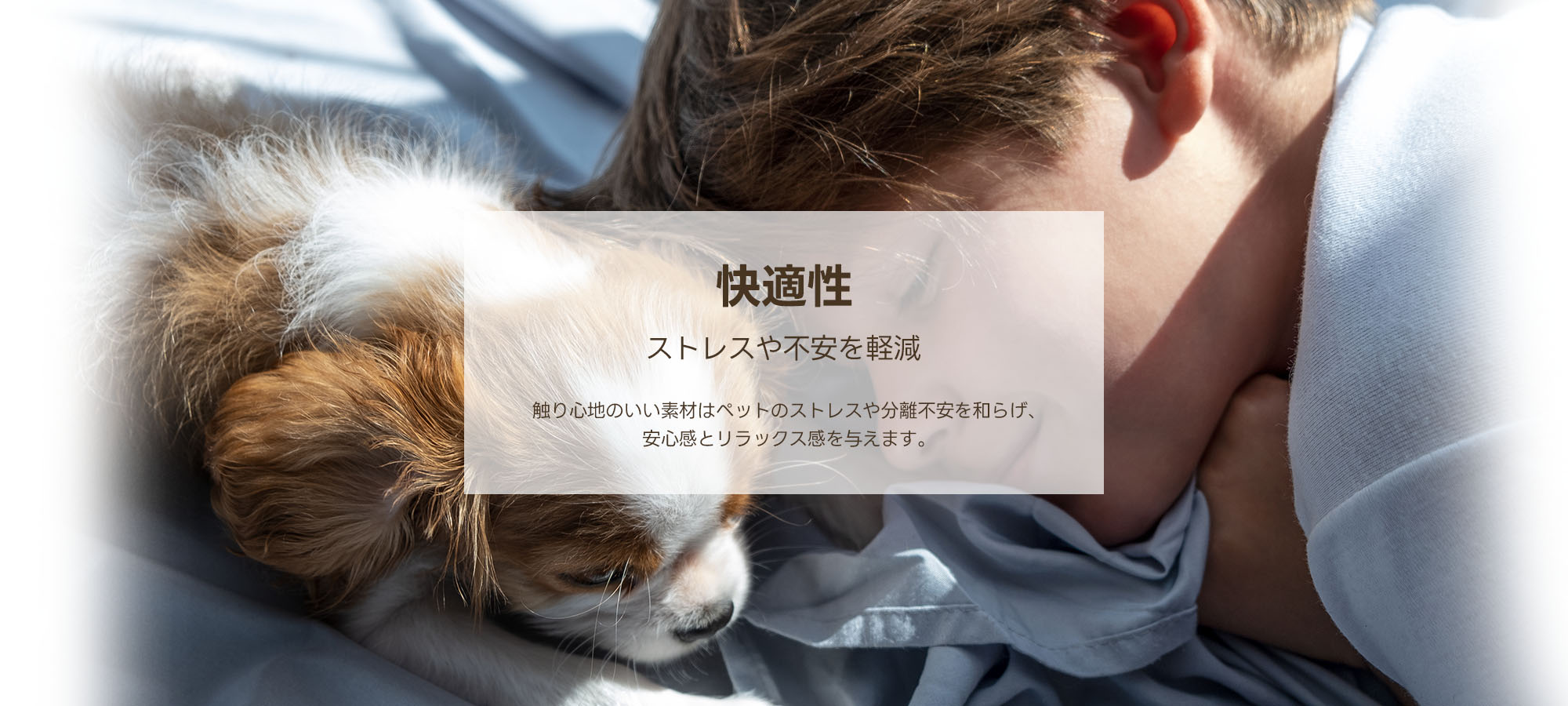 快適なペットカート