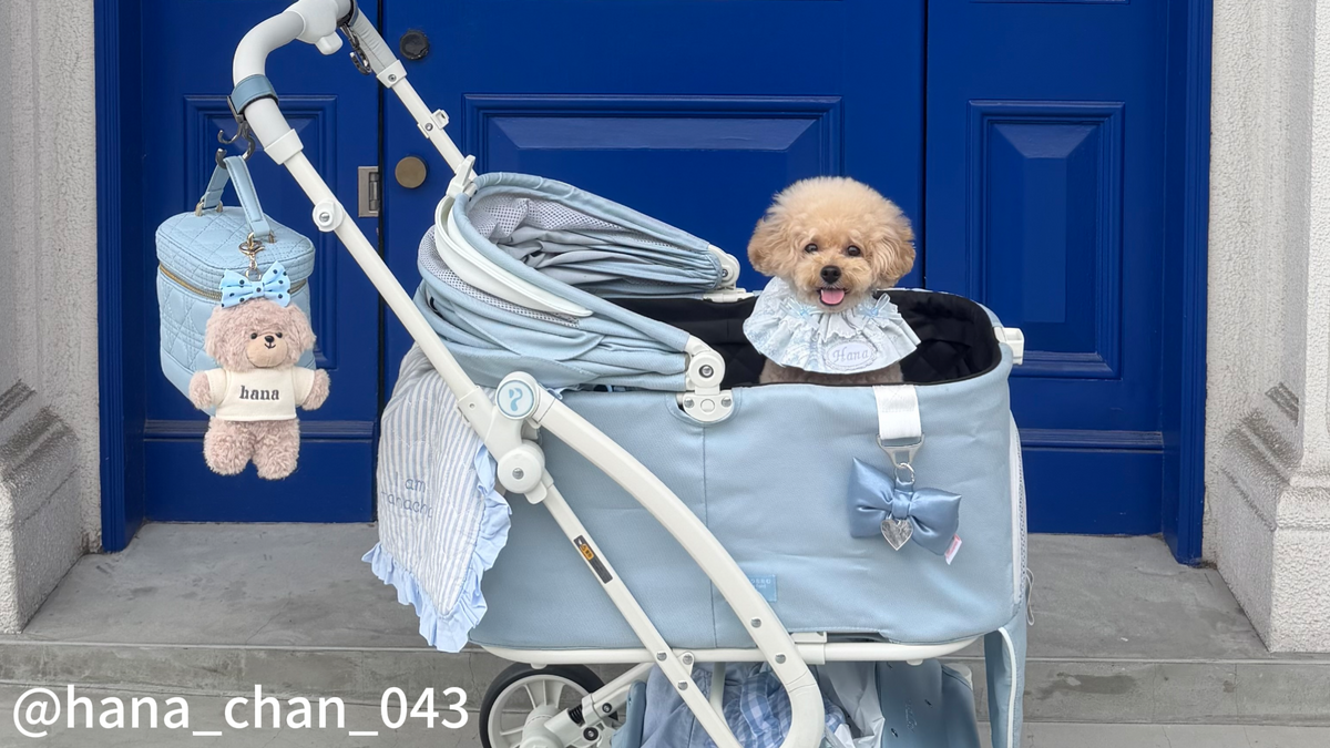 大阪で開催される犬イベント2026年版まとめ｜愛犬と行ける人気イベント一覧