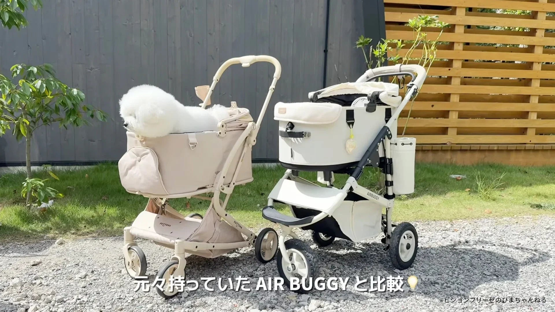 MILOUとAirBuggy DOME3を実使用比較