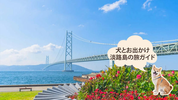淡路島の犬連れ旅
