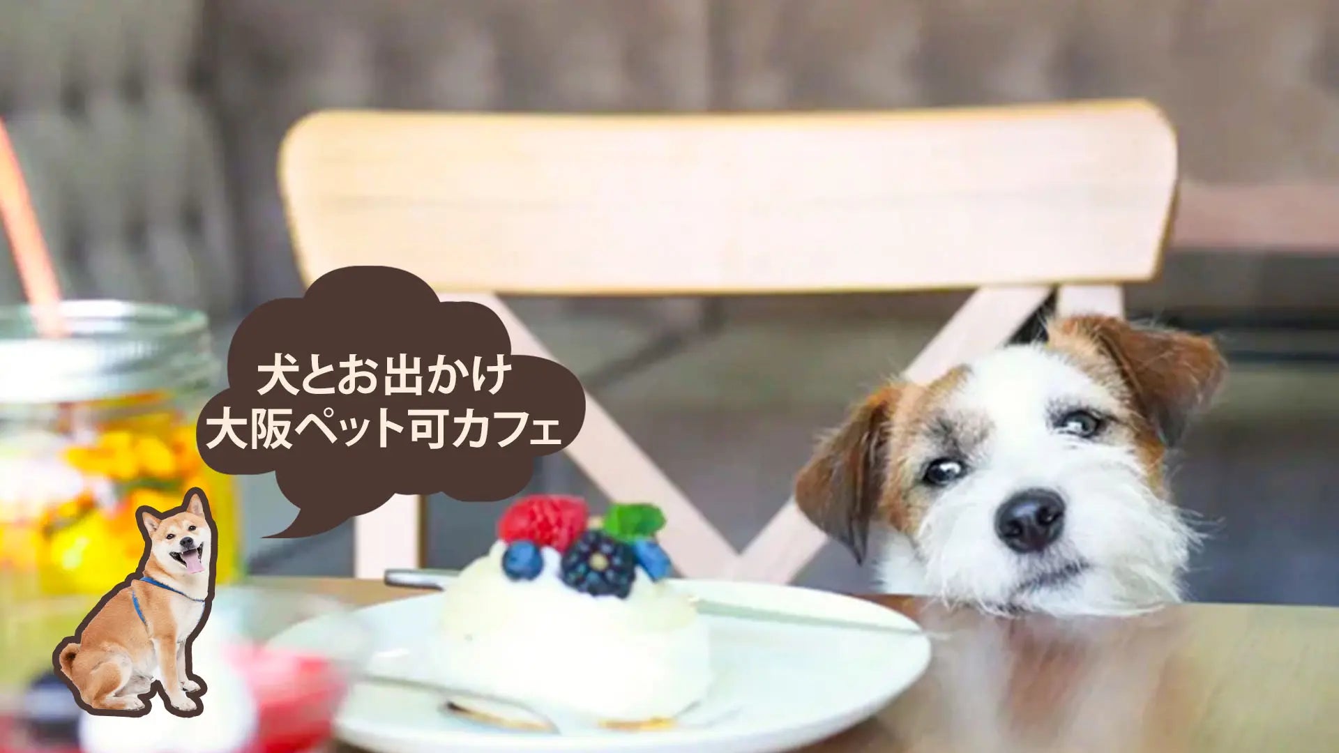 大阪のペット同伴カフェ