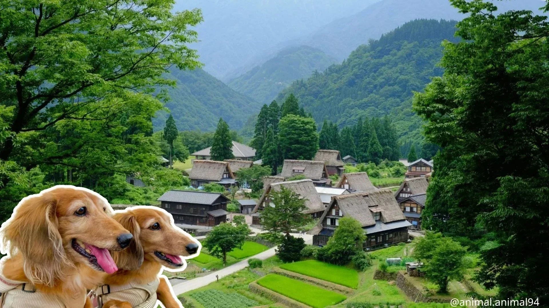 犬連れでも混雑回避できる穴場旅行先
