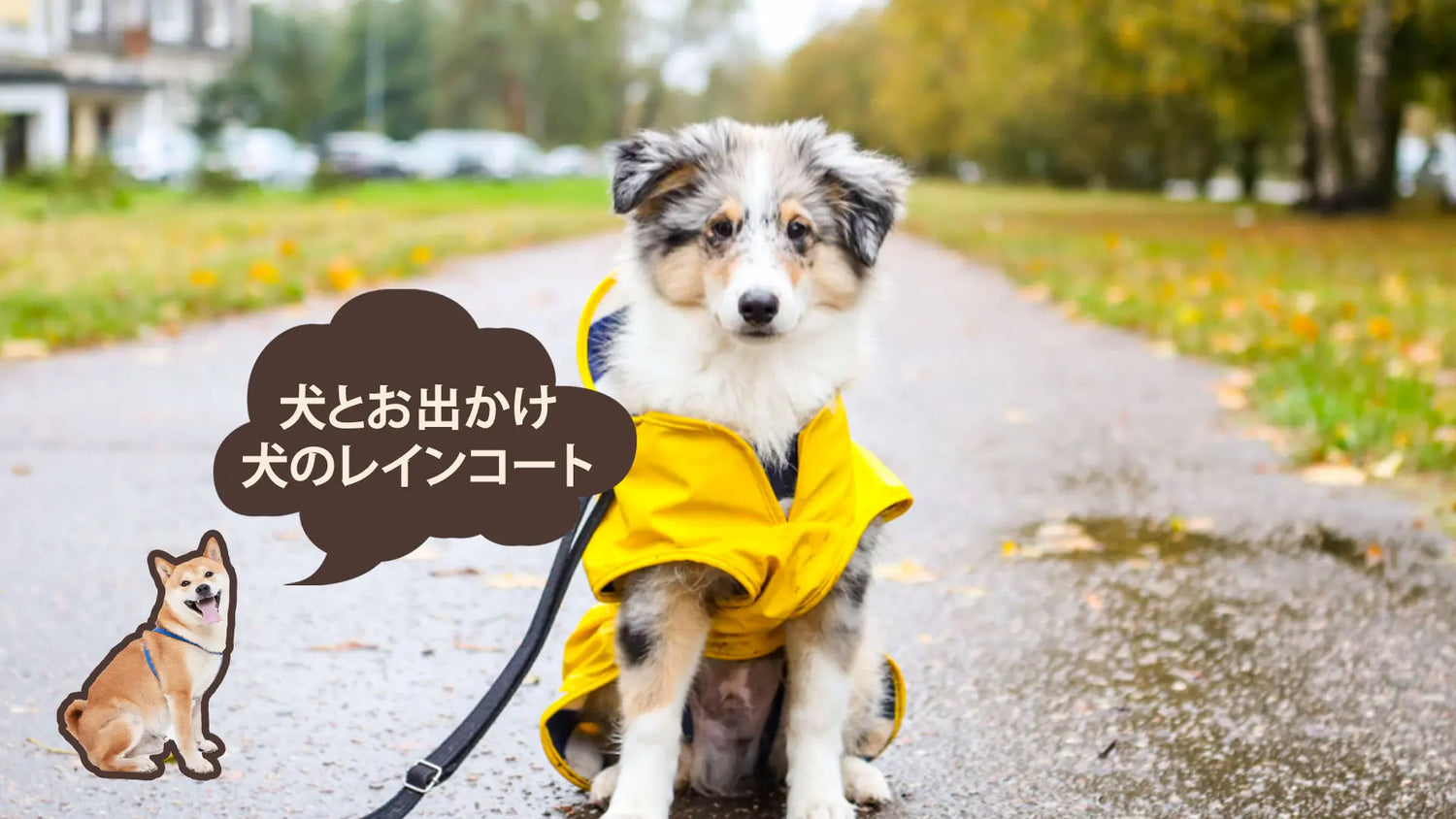 犬用レインコート