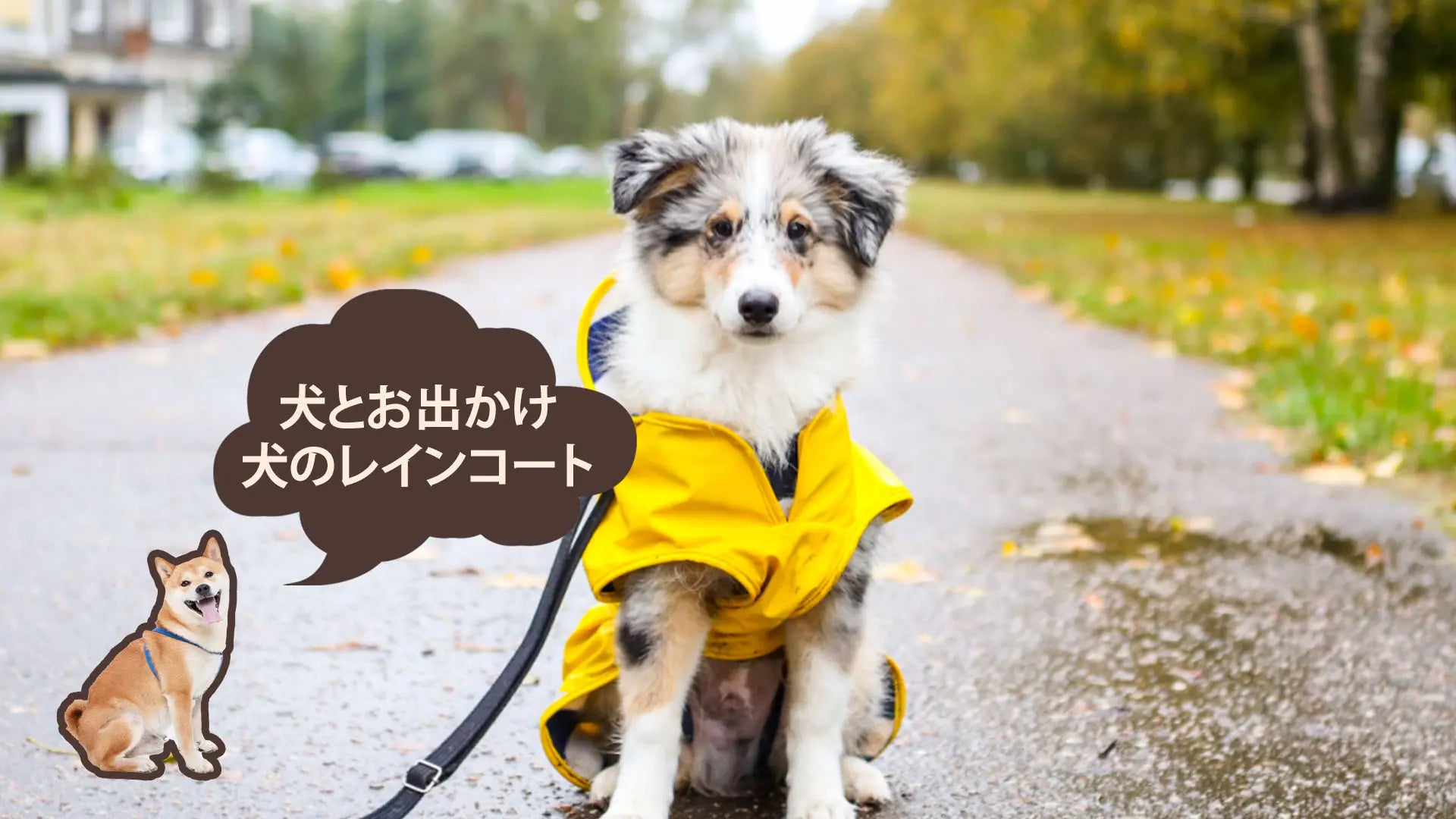 犬用レインコート