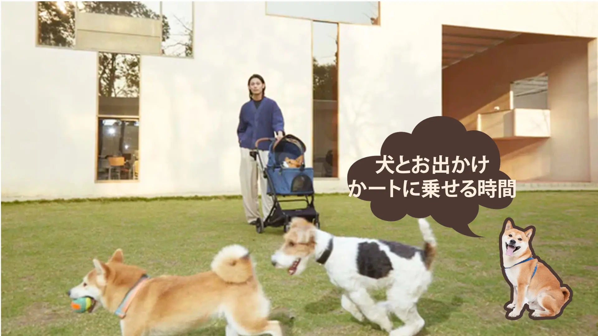 犬は電車に乗れる