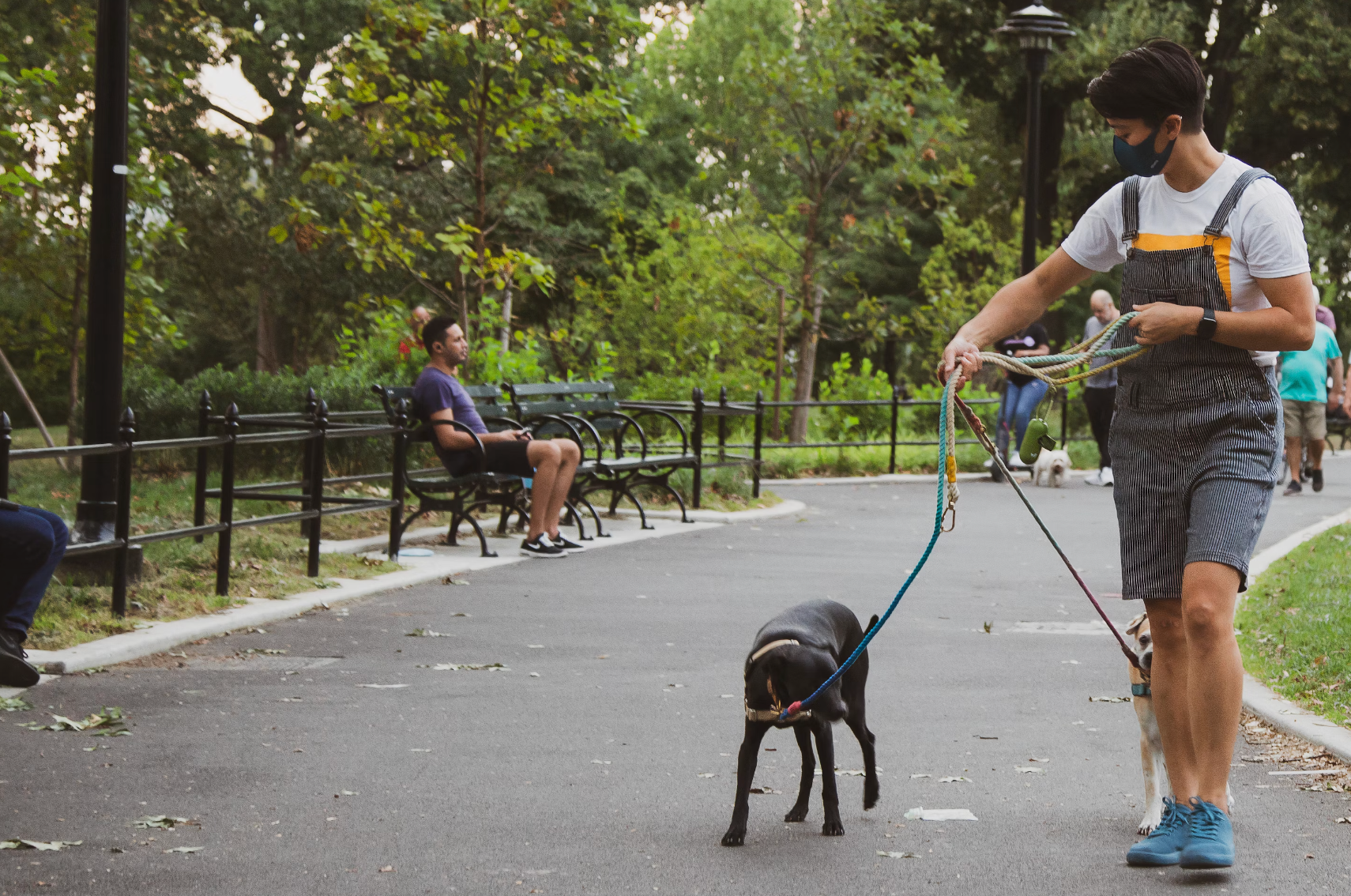 NGな犬の散歩方法：愛犬との散歩を楽しもう！