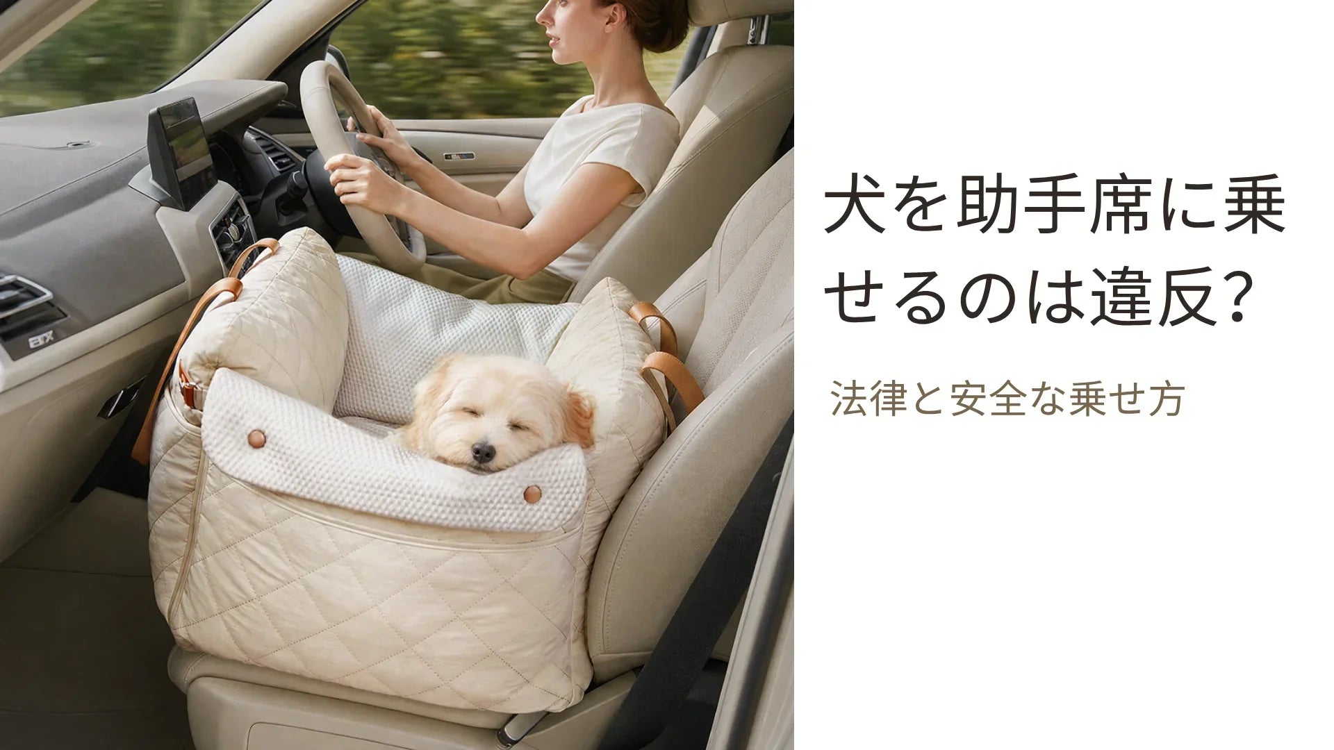 犬を助手席に乗せるのは違反？法律上のルールと安全な乗せ方