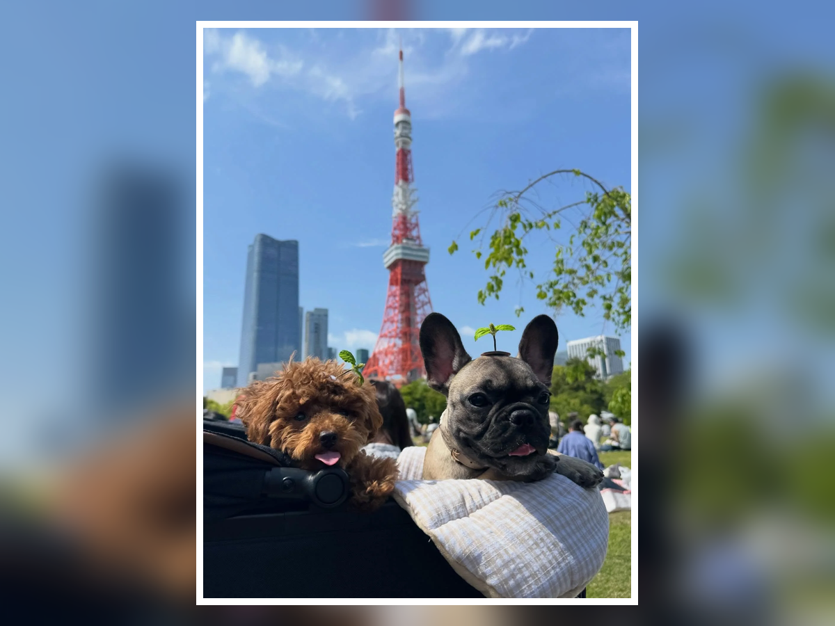 まだたくさん歩けなくても、一緒にいろいろな景色を。生後4か月から始まった、こむぎちゃんのお出かけ