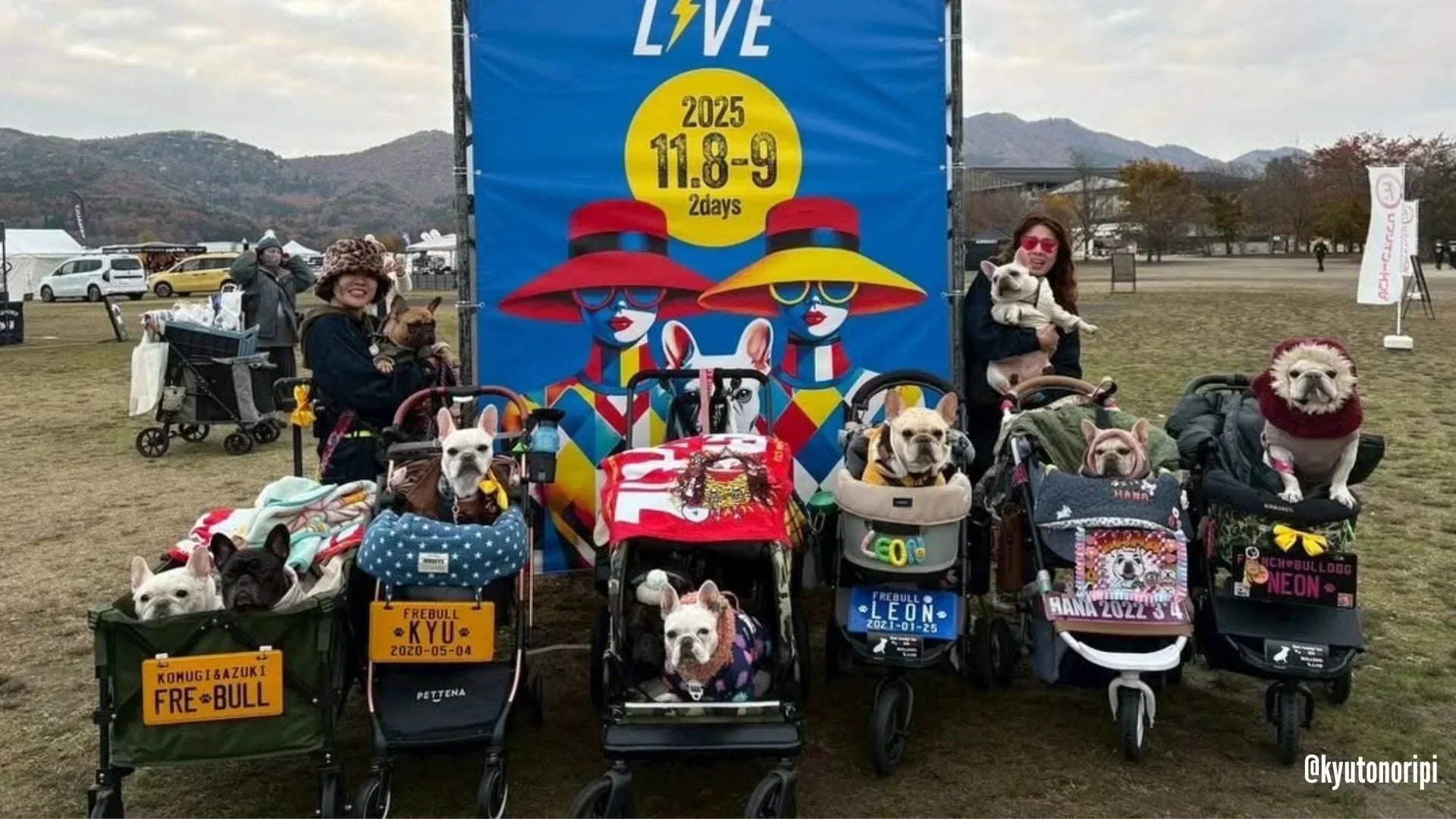 東京の犬イベント