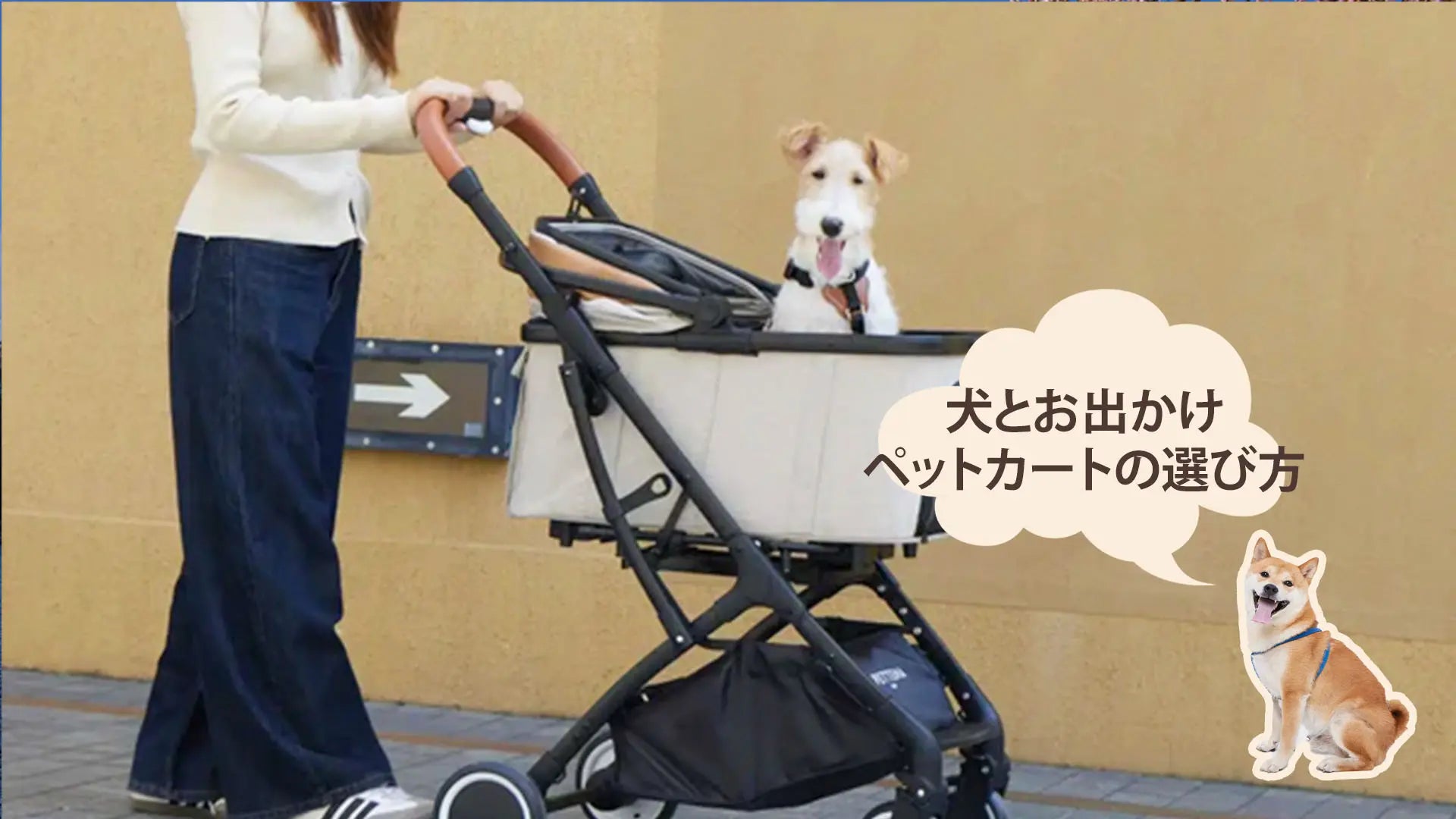 ペットカートの選び方とおすすめ！愛犬・愛猫にぴったりの1台を見つけよう｜PETTENA
