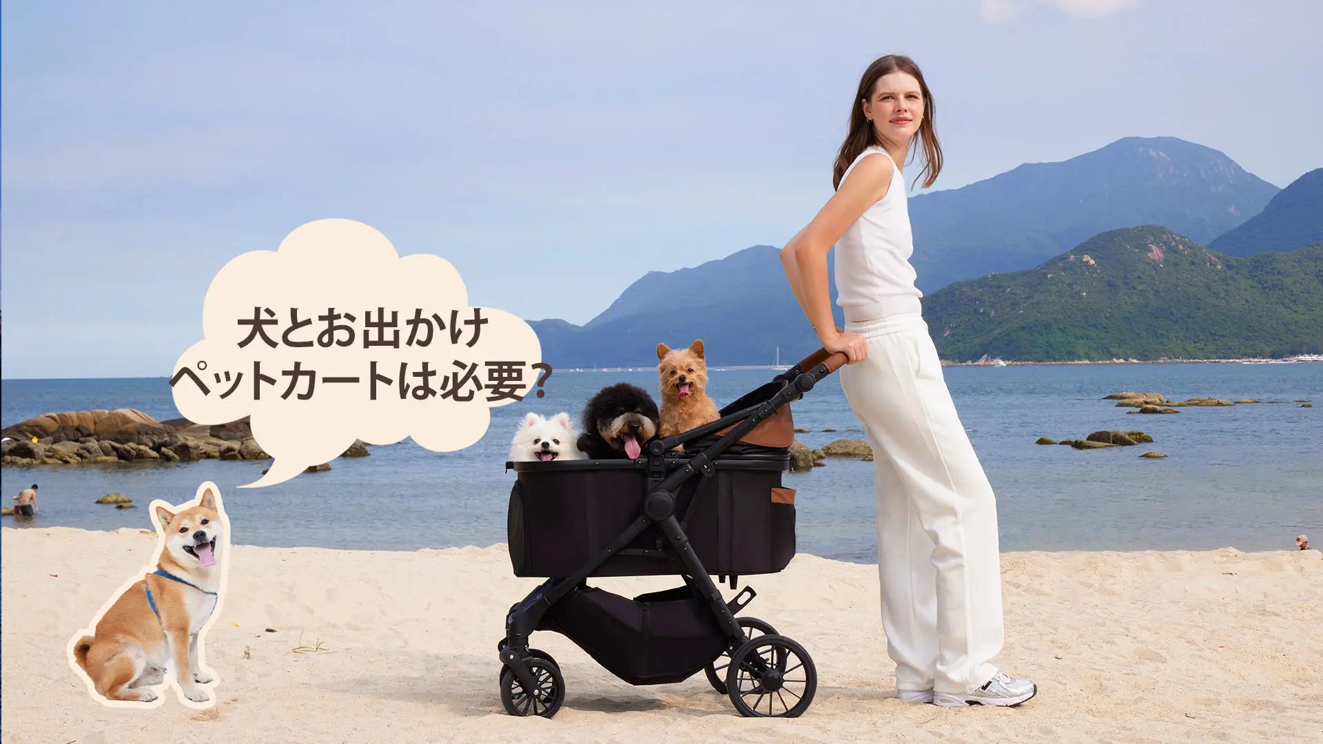 ペットカートは必要？いらない？抱っこ・バッグとの違いと必要性をわかりやすく解説｜PETTENA