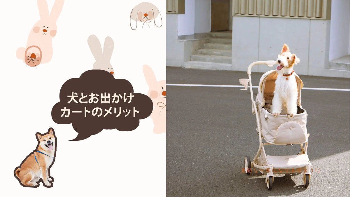 中型犬がペットカートに乗っている様子