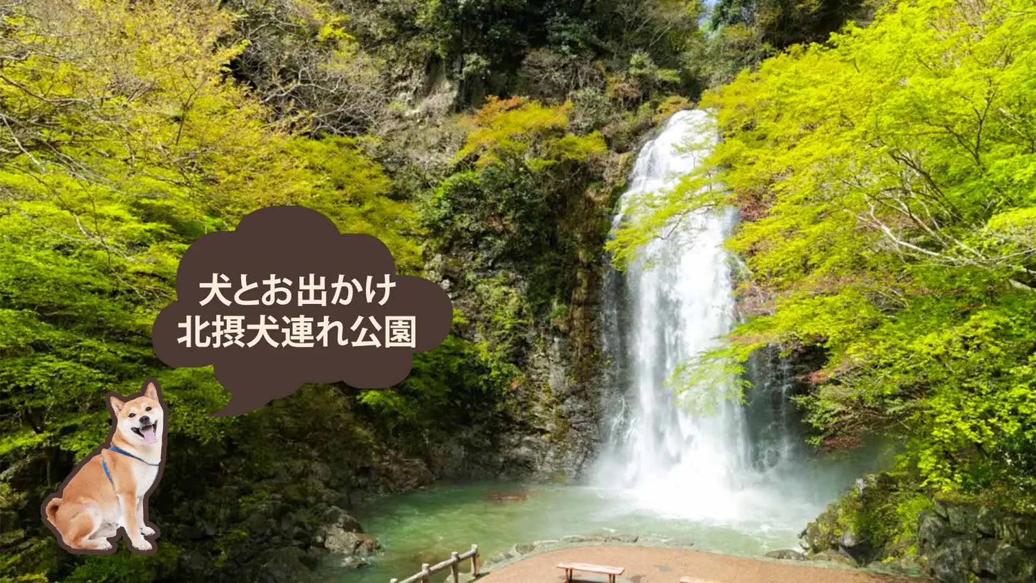 北摂のおすすめ自然公園