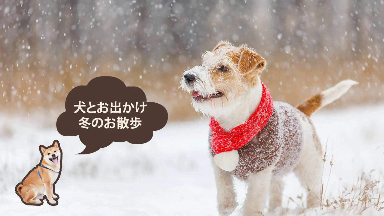 冬の公園で犬が遊ぶ様子