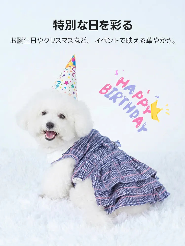 バースデー帽子を被り、ハッピーバースデーのロゴに囲まれた白い犬が、チェック柄のフリルドレスを着用。記念日の撮影を彩る華やかなデザインで、お祝いの席をより一層特別に演出する、上品で可愛いお姫様衣装。