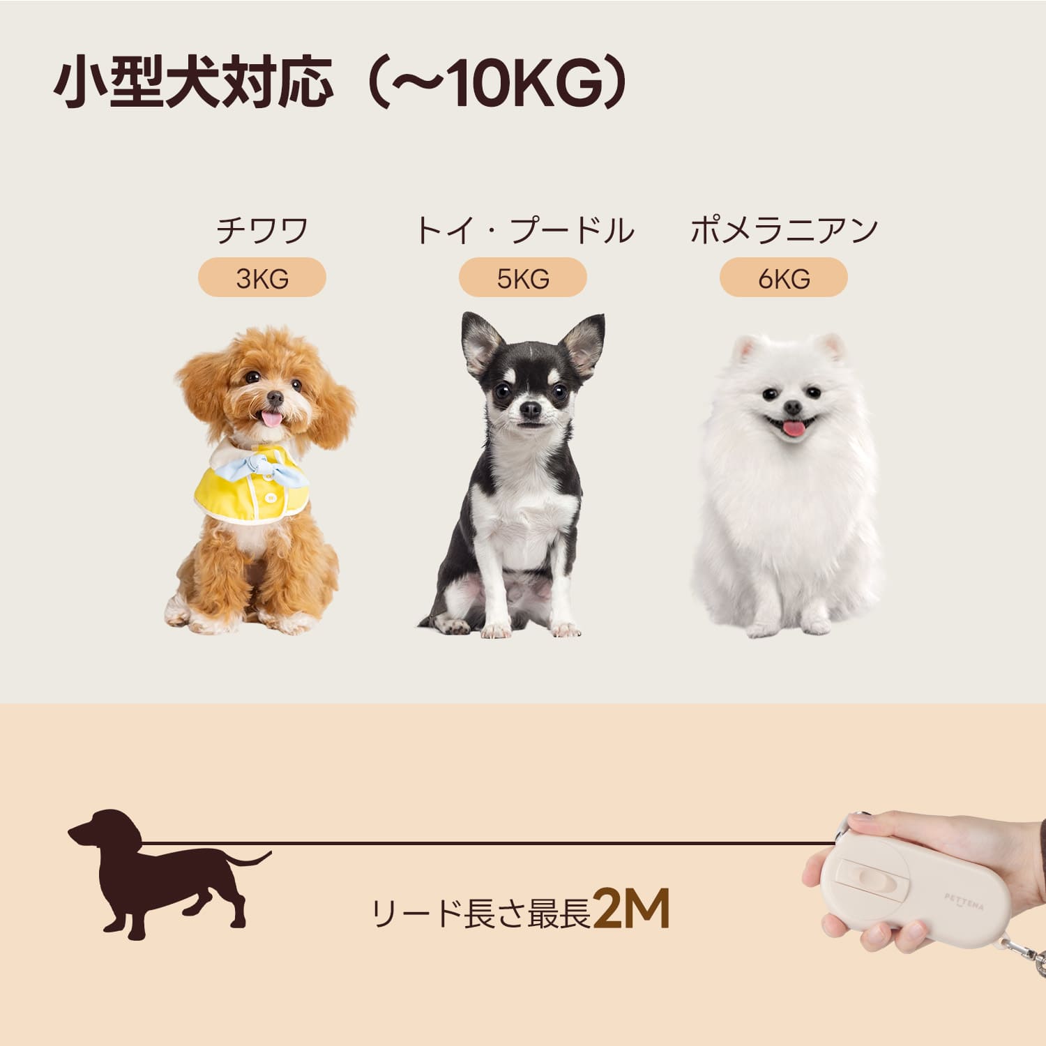 犬用伸縮リード  軽量ハンドグリップ式 - PETTENA AirHold